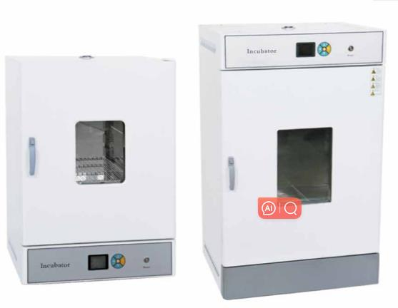Vertical Electric Heating Constant Temperature Incubator（upgrade）303-BE