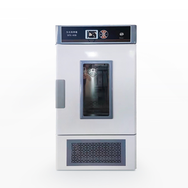  Mould Cultivation Cabinet / Lab Bacteriological Mold Incubator (regular) MJX-B